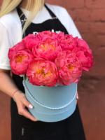 Коралловые пионы в шляпной коробке