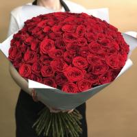 Букет из 101 красной розы (70 см)